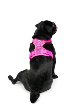 One Paw Dog Harness XS